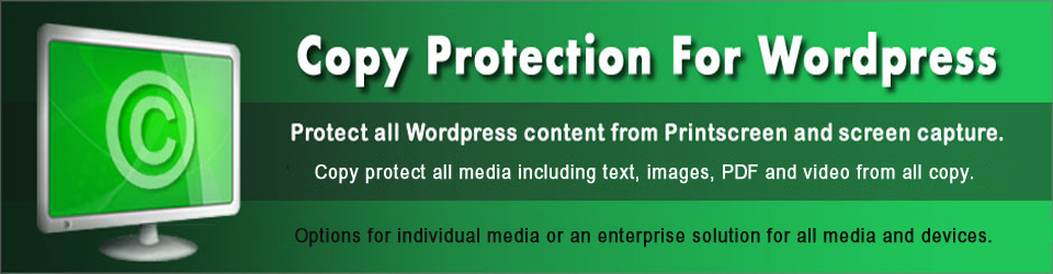 תוכנת הגנה מפני העתקת מידע באתרי וורדפרס וניהול צפייה wordpress